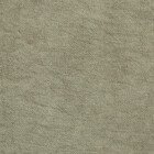 Капучино Канвас. v-211